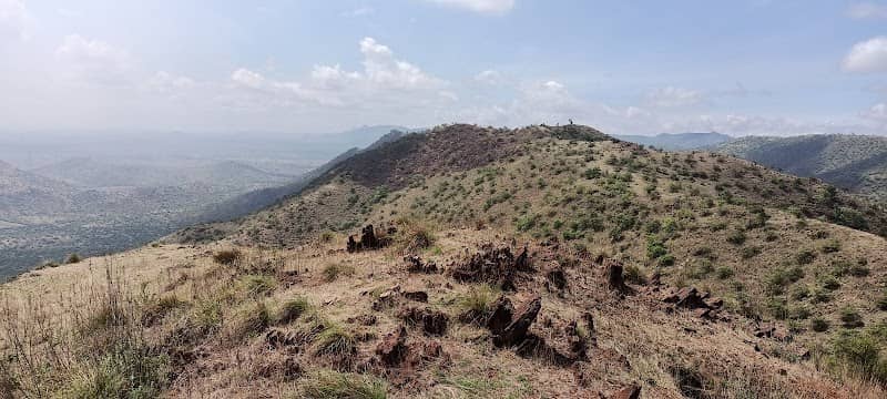Mountain view - Image 1