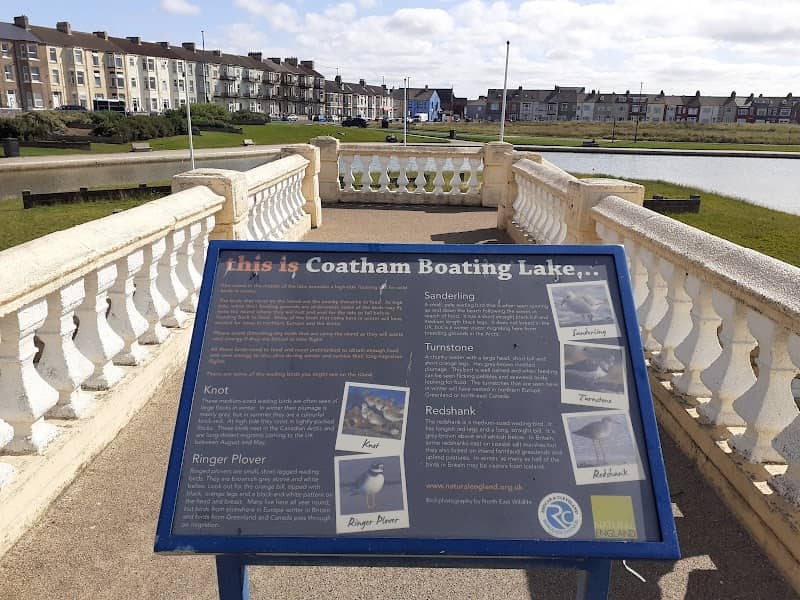 Coatham Boating Lake - Image 1