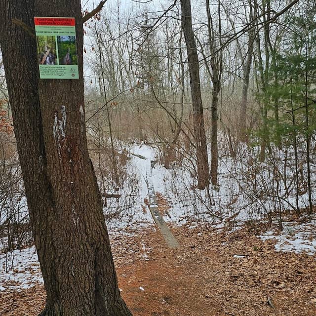 Ponkapoag Boardwalk Access - Image 1