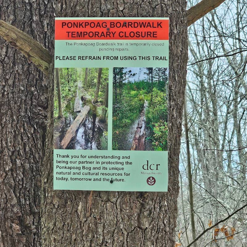 Ponkapoag Boardwalk Access - Image 2