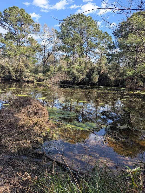 Seabrook Wildlife Refuge and Park - Image 3