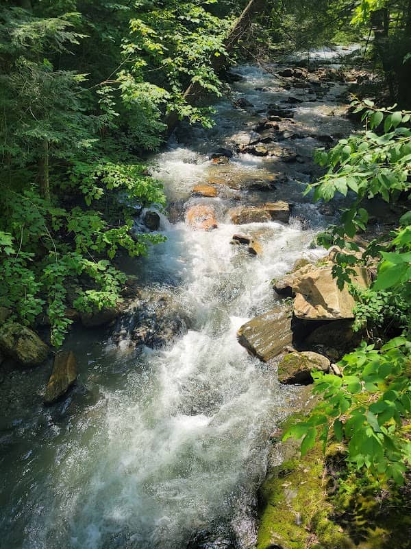 Mount Hope Park - Image 1