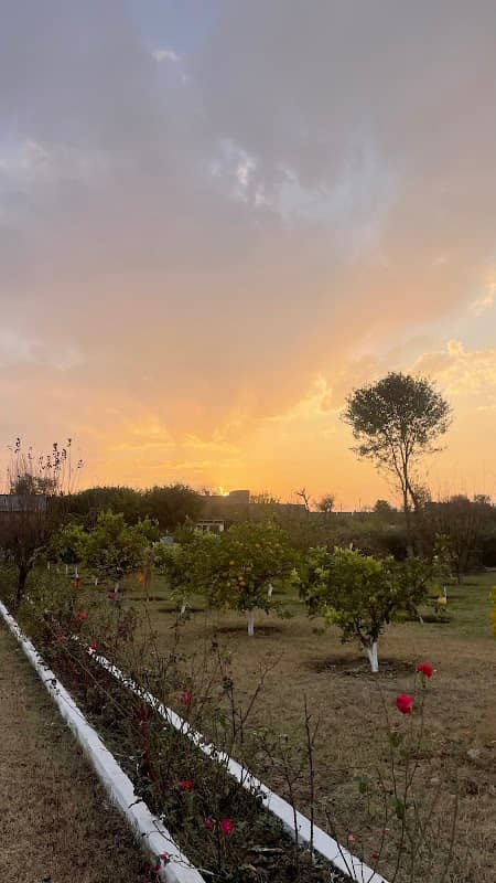 Master's Nursery and Fruit Farms - Image 1