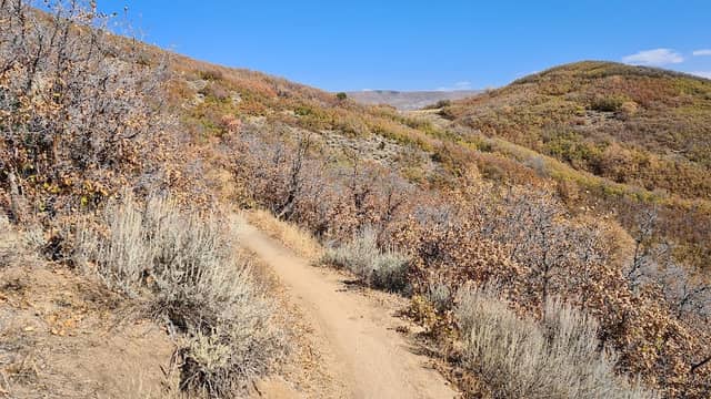 Dutch Hollow Trailhead - Image 1