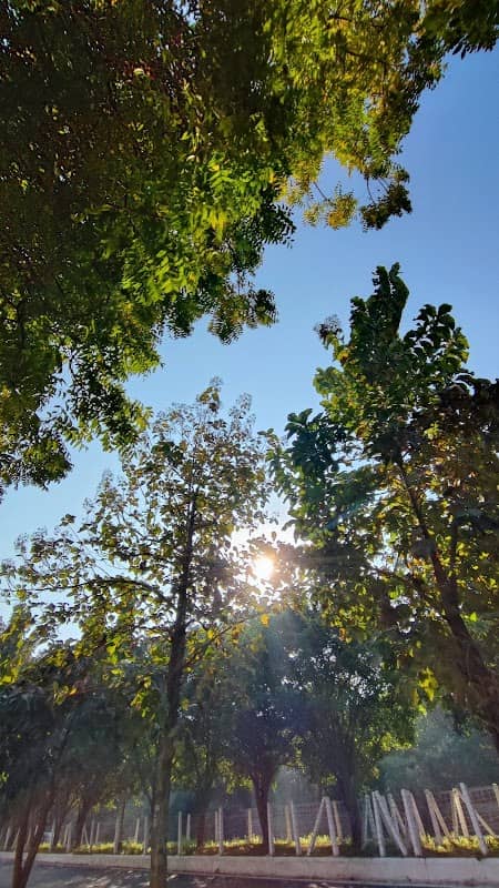 Sita Park - Image 1