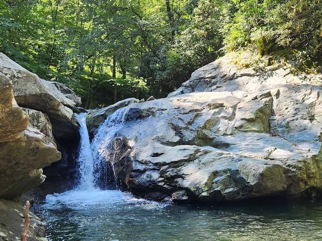 Laurel Creek Falls parking area - Image 2