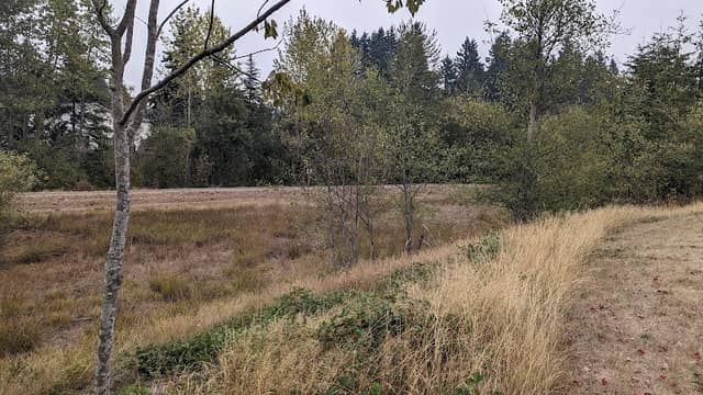 Hannabrook Park - Image 2
