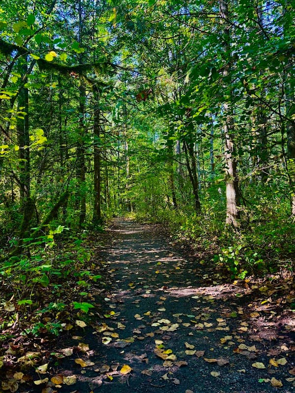 Osprey Park - Image 2