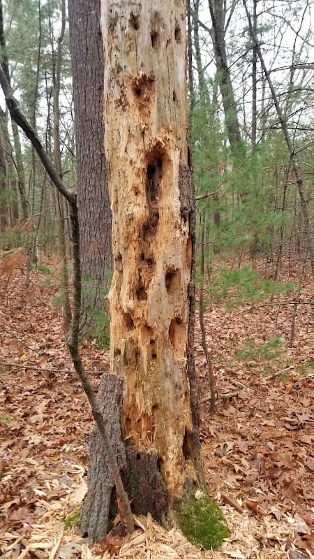 Holy Hill Conservation Area - Image 2