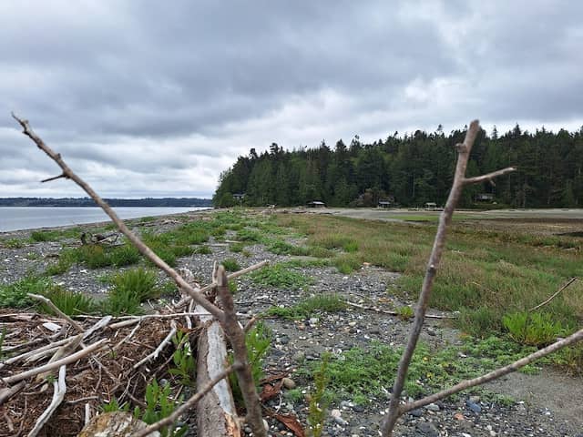Wolfe Property State Park - Image 2