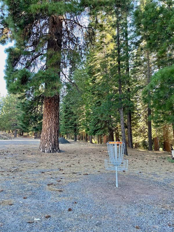 Frisbee Disc Golf - Image 1
