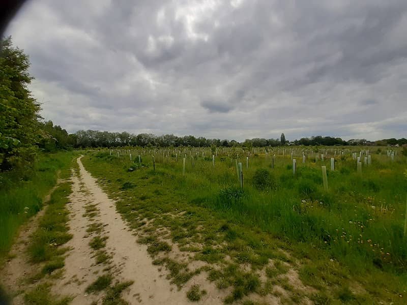 Salts Wood - Image 1