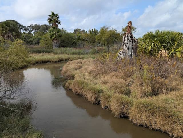 Tule Marsh East - Image 3