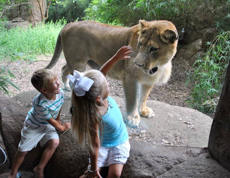 Alexandria Zoological Park - Image 1