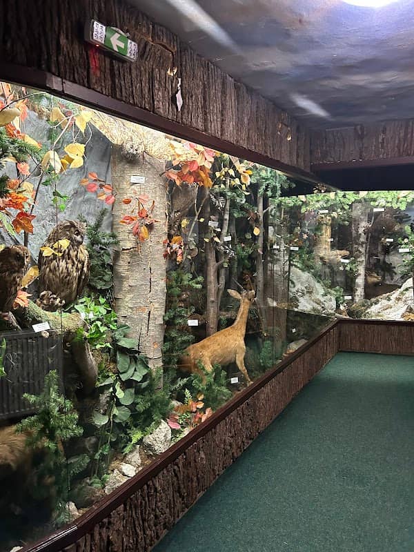 The Museum of Bucegi Nature Preserve - Image 1