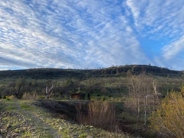 Butte Creek Ecological Preserve - Image 1