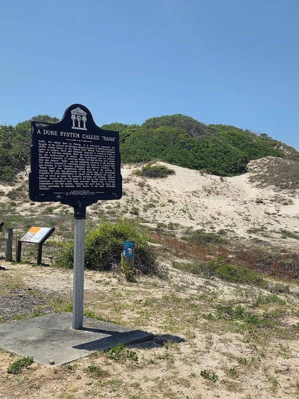 Nana Dune - Tallest in Florida - Image 2