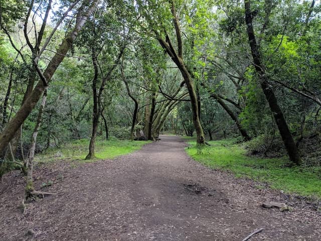 Foothills Open Space Preserve - Image 2