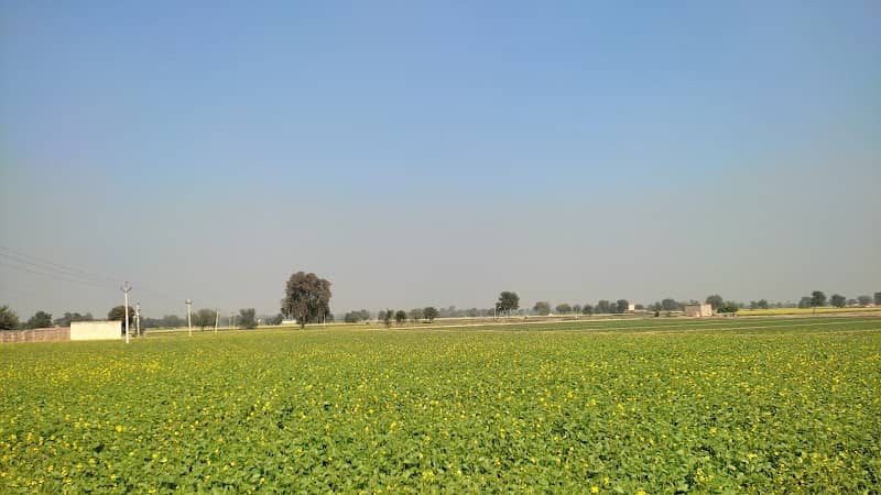 Rammurti Beniwal Farms - Image 1