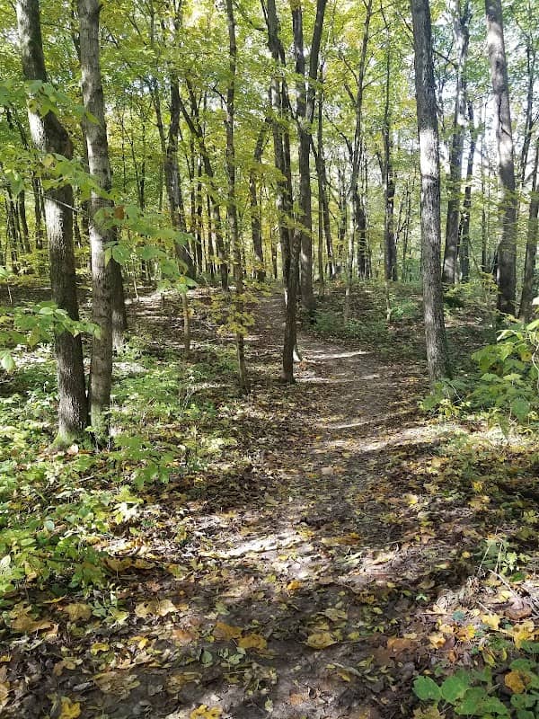 Auburn Township Park - Image 1