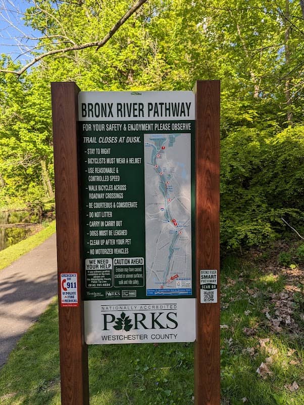 Hartsdale Duck Pond - Image 2