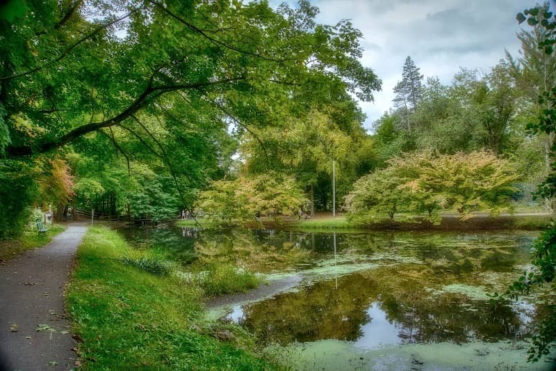 Hartsdale Duck Pond - Image 1