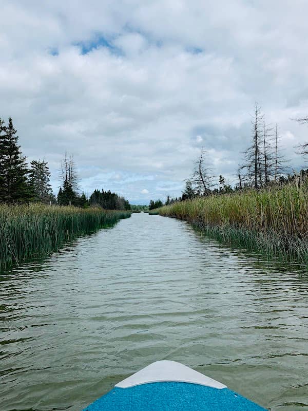 North Murray Point Campground - Image 2