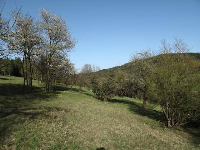 Lötal Nature Reserve - Image 1