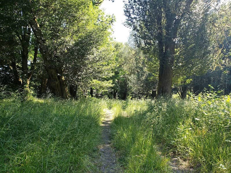 Bennett County Park - Image 2