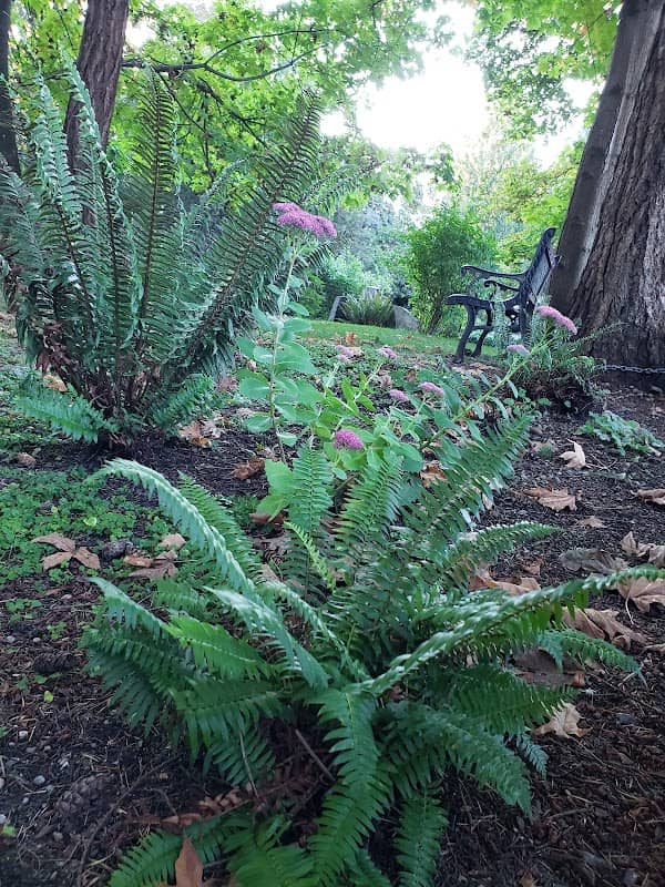 Primley Park - Image 2