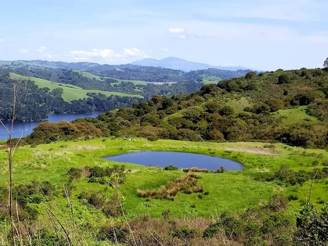 Wildcat Canyon Regional Park - Image 2