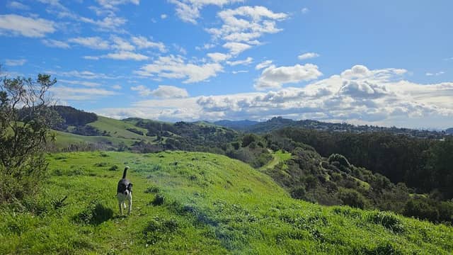 Wildcat Canyon Regional Park - Image 1
