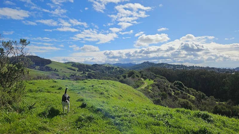 Wildcat Canyon Regional Park - Image 1