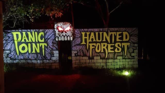Haunted Forest at Panic Point - Image 2