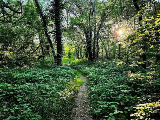 Walnut river trail. Trailhead - Image 2