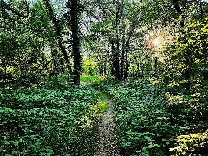 Walnut river trail. Trailhead - Image 2