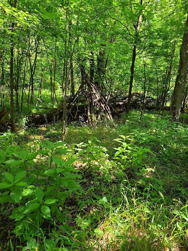 Walnut river trail. Trailhead - Image 3
