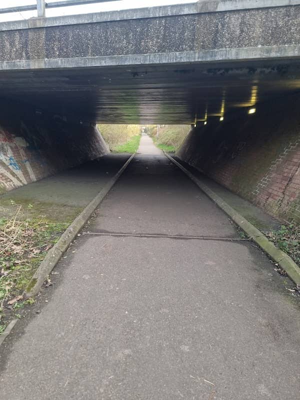 Black path trail - Image 1