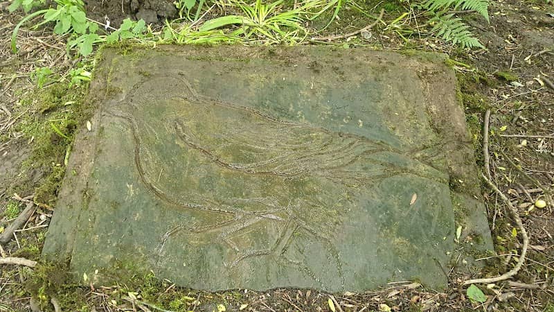 Engraving of a bird by Philip Garrett - Image 1