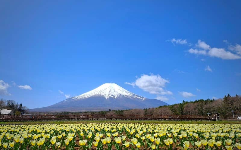 Hana-no-miyako Park Furara - Image 1