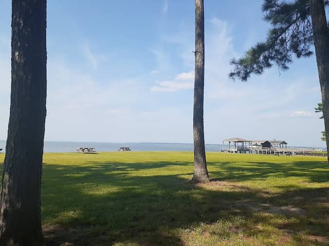 Royale Greens Park - Image 2