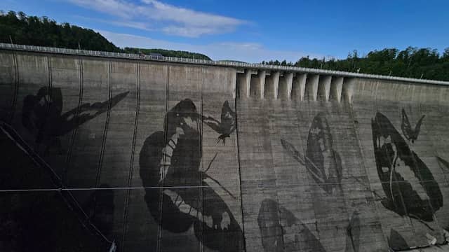 RappBodetalsperre Hängebrücke - Image 3