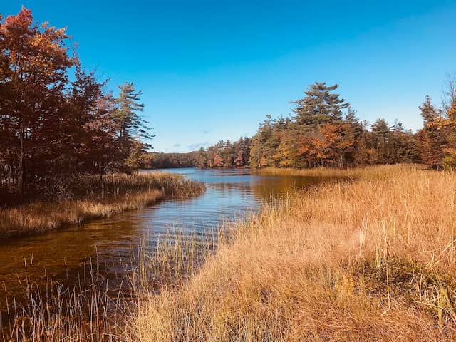 Lost Lake Boardwalk - Image 1