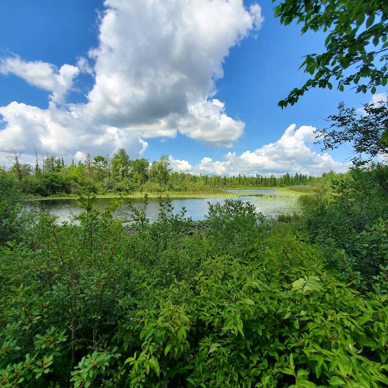 Wixom Habitat - Image 1
