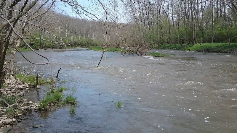 Roadside Park - Image 2