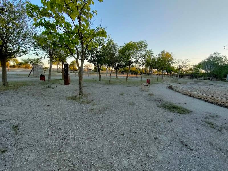 Ojos de San Jorge - Image 2