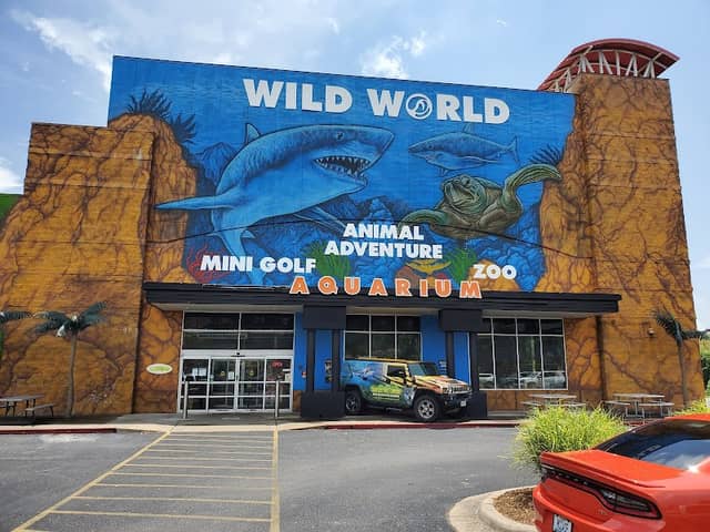 Branson's Wild World - Image 2