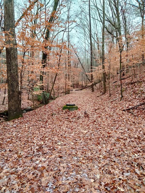 Seven Branches Park - Image 2