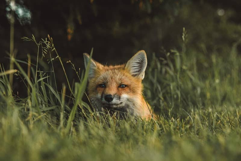 Wild Alba Tours - Image 1