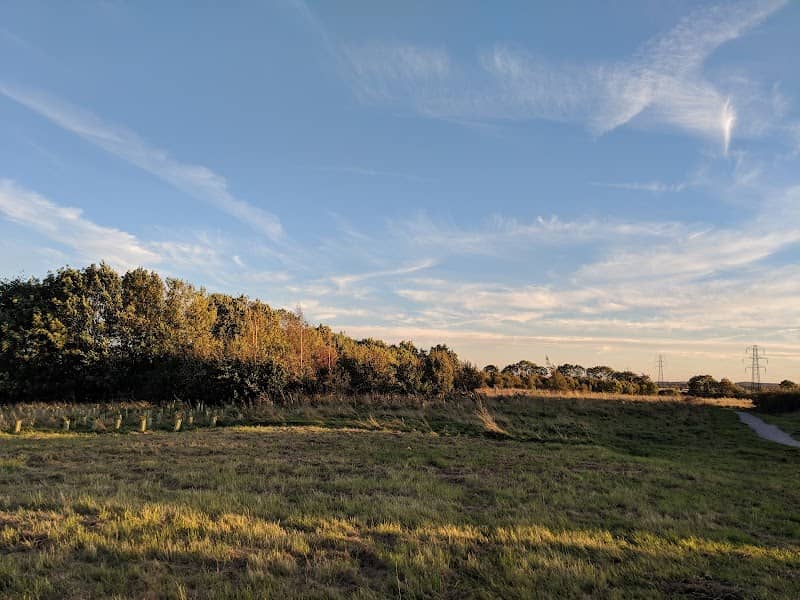 Mareham Pastures Local Nature Reserve - Image 2